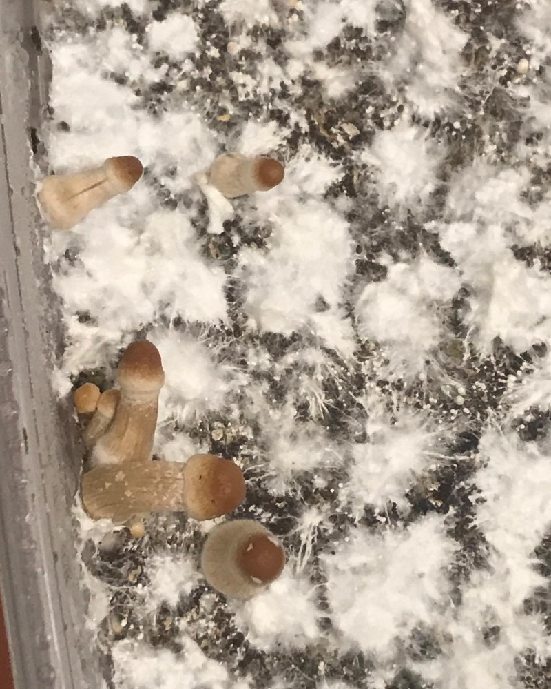 3D8C3695-070A-44D7-A5C9-20F264F42EC3