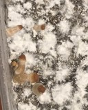 3D8C3695-070A-44D7-A5C9-20F264F42EC3