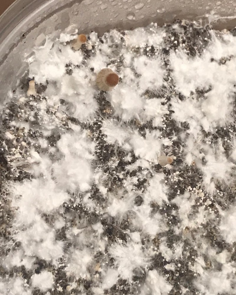 8BD99333-B7FE-4389-8B5B-70C40847309C