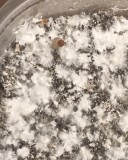 8BD99333-B7FE-4389-8B5B-70C40847309C