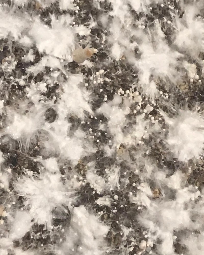 EE841781-3299-4FC2-B3B9-2C2E5414A4EF