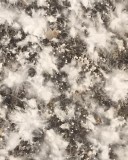 EE841781-3299-4FC2-B3B9-2C2E5414A4EF