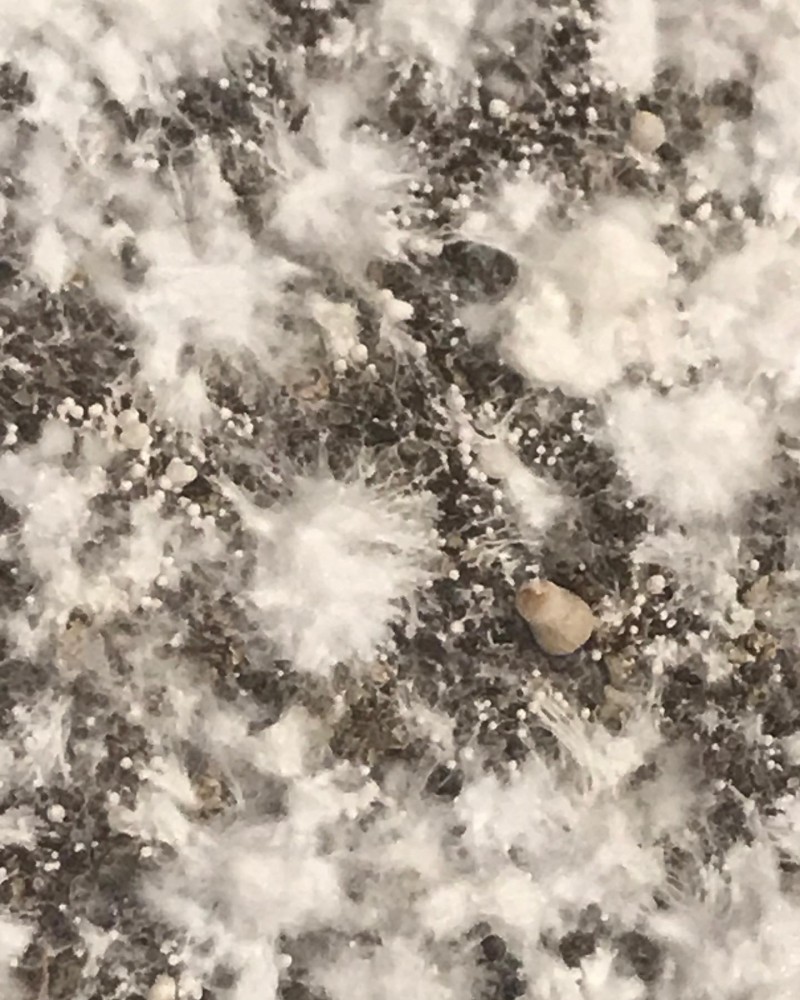 19D684E6-665B-423D-B405-FC59DC8486C9