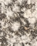 19D684E6-665B-423D-B405-FC59DC8486C9