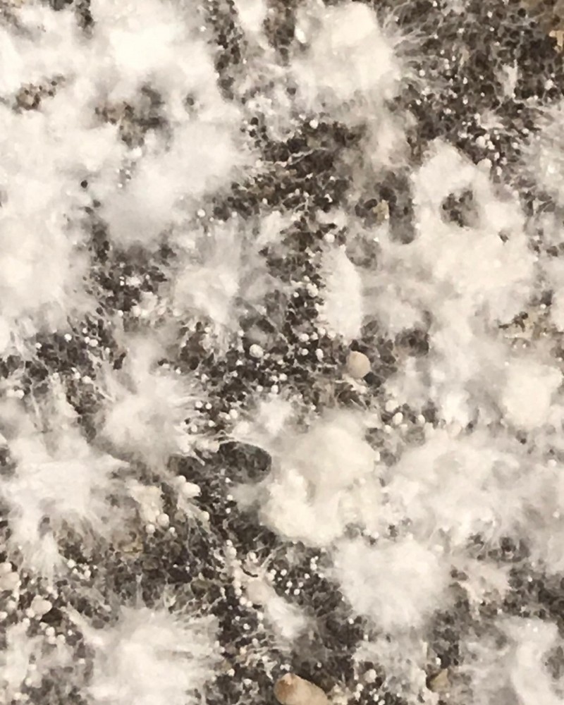 A358D121-10BA-4E82-9918-6F25C7A7041D