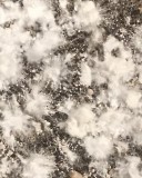 A358D121-10BA-4E82-9918-6F25C7A7041D