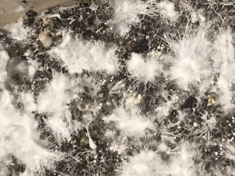 2861AFB0-D319-429A-A086-E2FF57D957D7