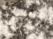 2861AFB0-D319-429A-A086-E2FF57D957D7