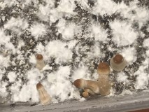 4E2A8E3C-BB63-4DBA-8657-21B864DFF31B