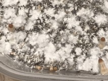 7C2DB700-1B05-437F-8E30-56B394FBD146