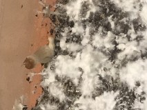 165C3BC1-C7F0-4560-B995-00B8257E7269