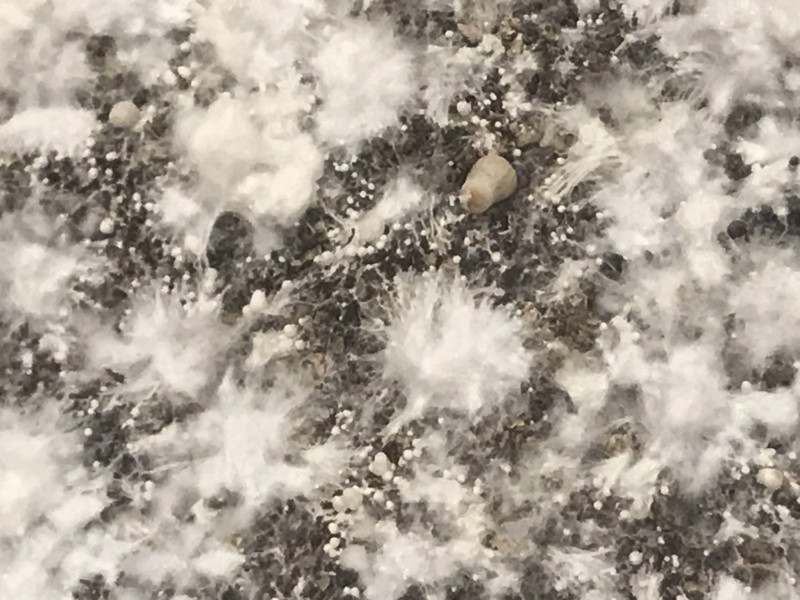 1B6473A8-DC2F-4678-A814-44A65A458348