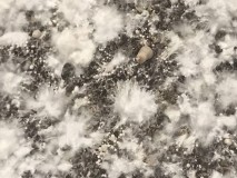 1B6473A8-DC2F-4678-A814-44A65A458348