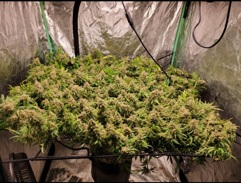 Screenshot_20220312-135944_Photos