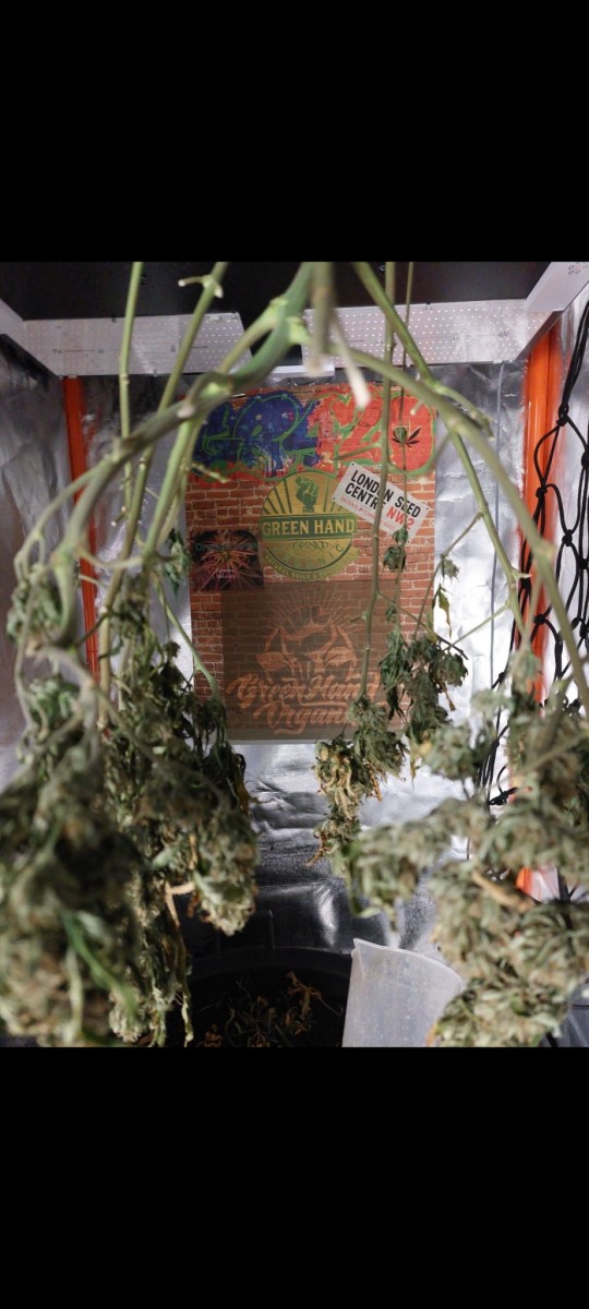 Screenshot_20220314-065622_Gallery