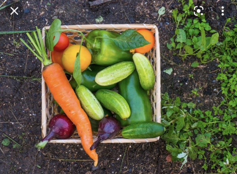 698680A0-70A2-422A-8520-97E8CC41B761