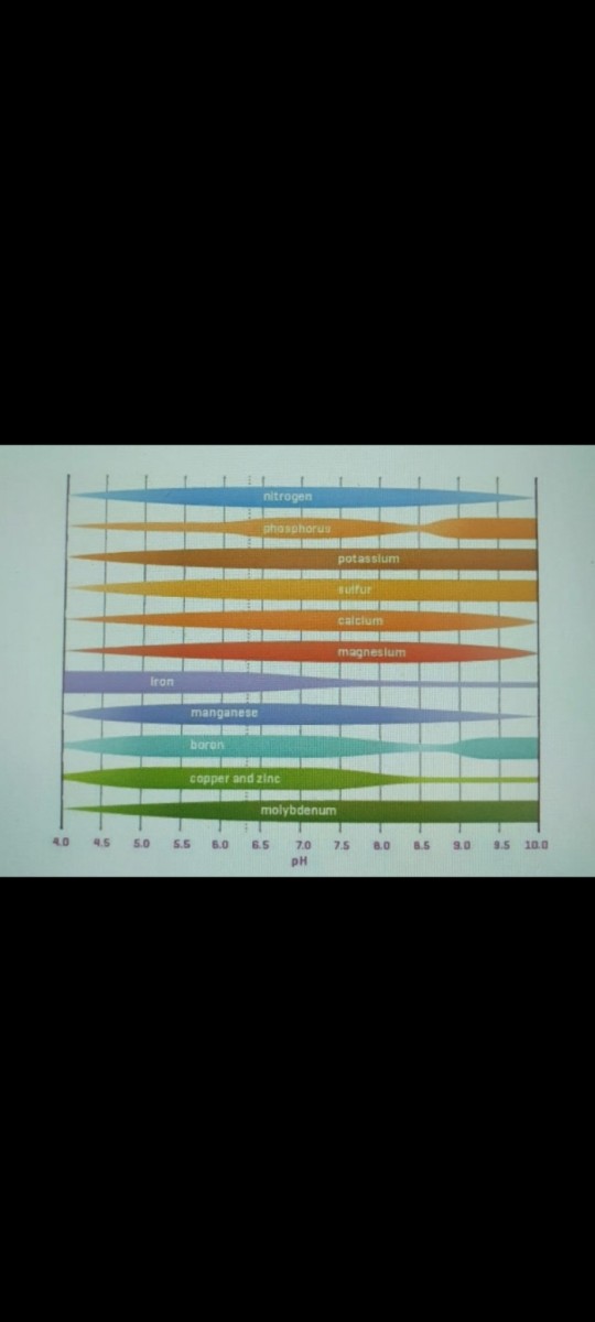 Screenshot_20220315-140112_Gallery