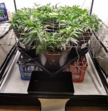 IMG_20200429_200019409_HDR (2)