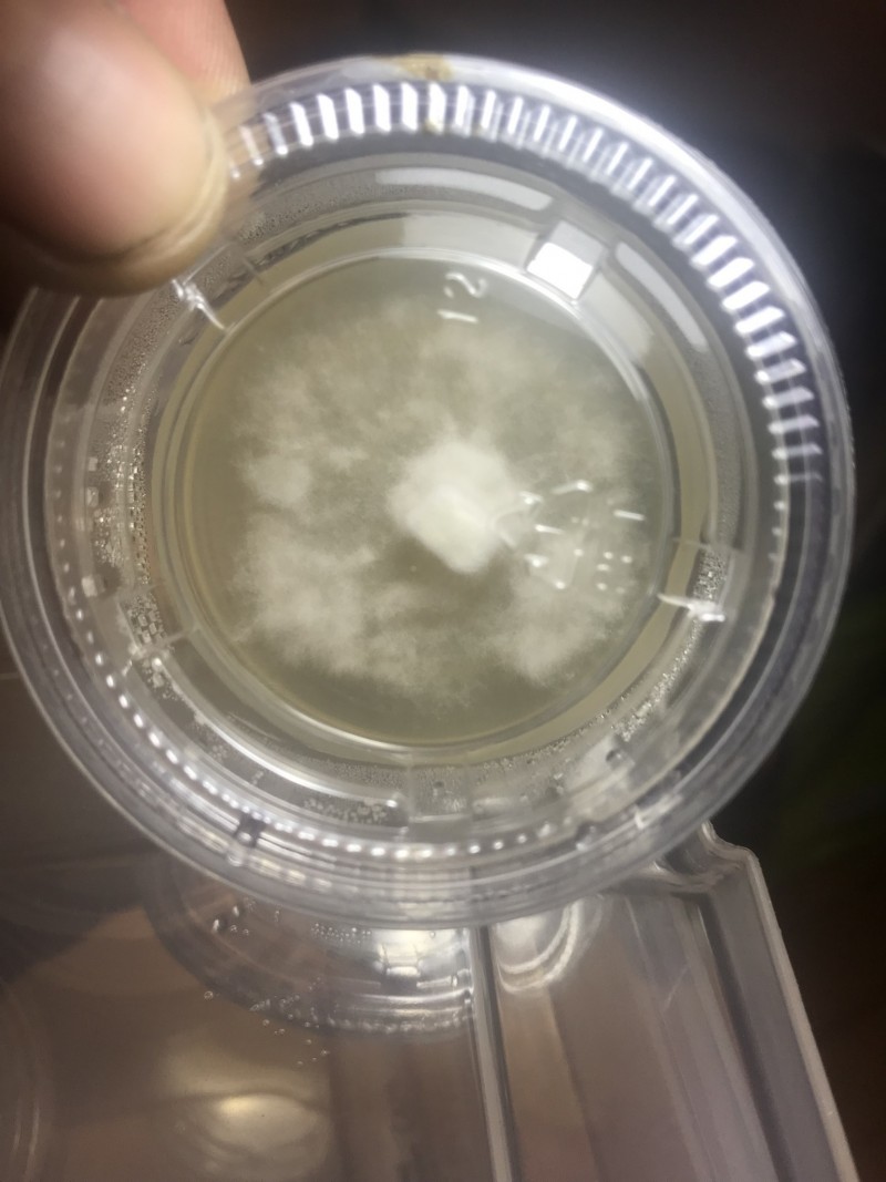 C12610DA-FB2D-4294-AB25-5AFDEE67C7FD