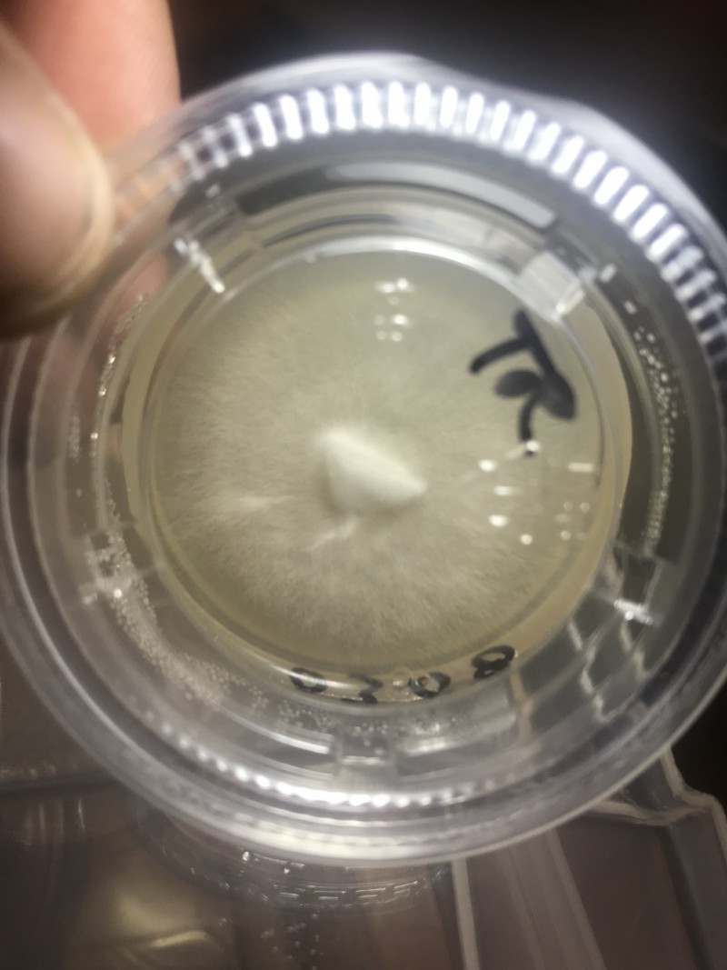 D4916EE3-1F84-418C-A25A-C599ED8FDF73