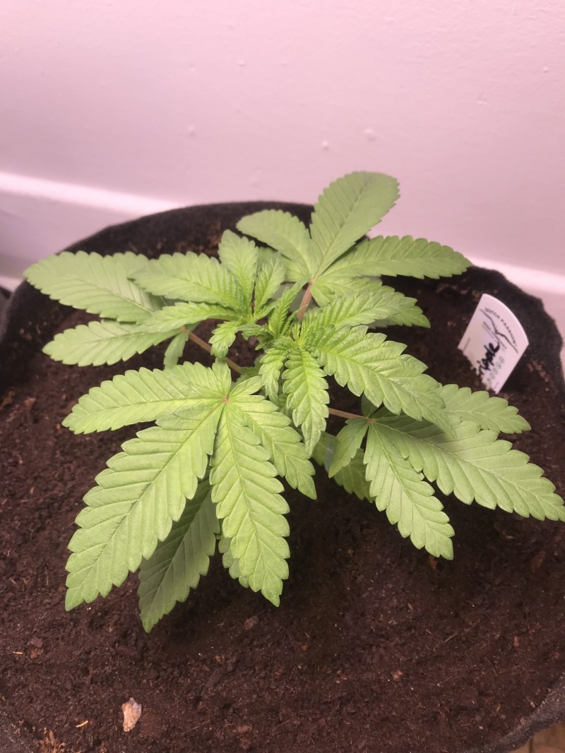 07D95EA7-5505-4A22-A800-785DD57B64A5