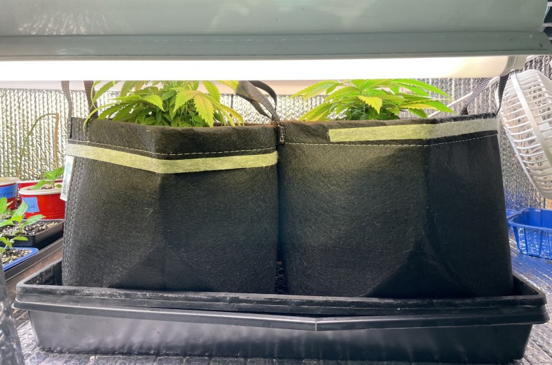 30E16E45-04B5-4750-8B2D-7EA207EFC43B