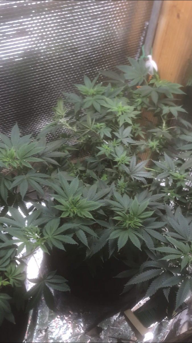 1CA803EC-7D52-47F9-A4B8-7DBA0532E7D9