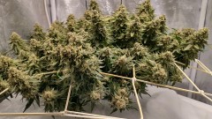 IMG_20220324_105729858_HDR