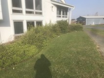 9E1EC247-D738-40AB-BF8D-A2F54469B567