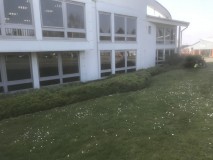 99A7B495-D26A-4B4E-8393-4F6455E9449C