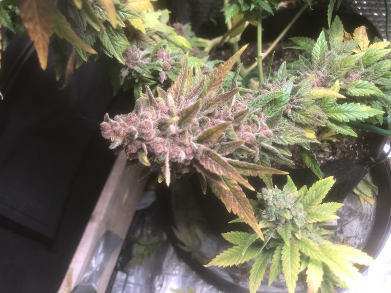 46137C3A-7D17-4A8F-9280-6C827AB1DD34