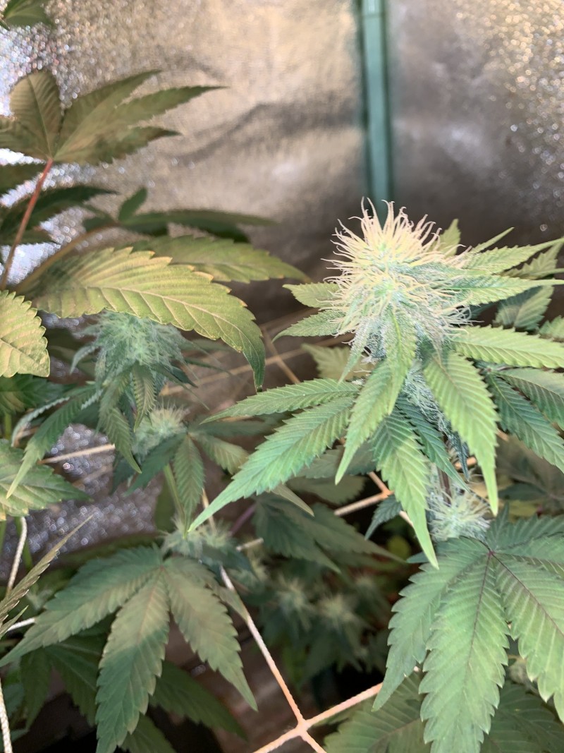 E07D1E94-7C3B-4178-B090-50C3FE9991AA