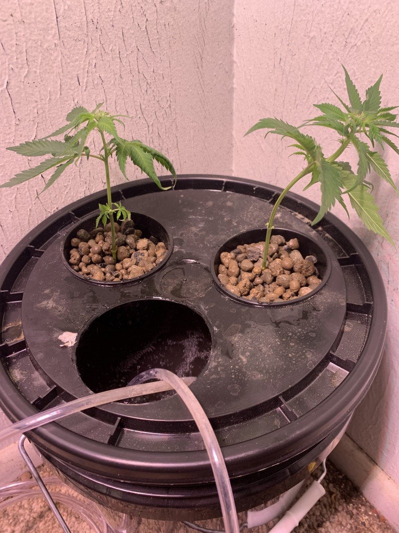 A8274387-B26A-469E-878F-F6F8B756CF6B