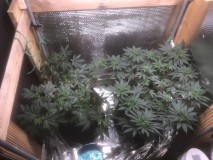 E80DB94D-E439-4A48-B8E0-986ECF77770F