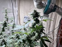 7103E18C-D548-42CB-837E-79CFBBA7E74F