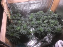 AA7799FA-B5AC-4C31-BF65-E0410FD941A1