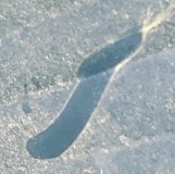 be9ebb76404403374d002ddde614df04 (1)