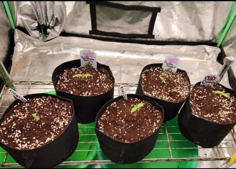 Screenshot_20220401-220306_Photos