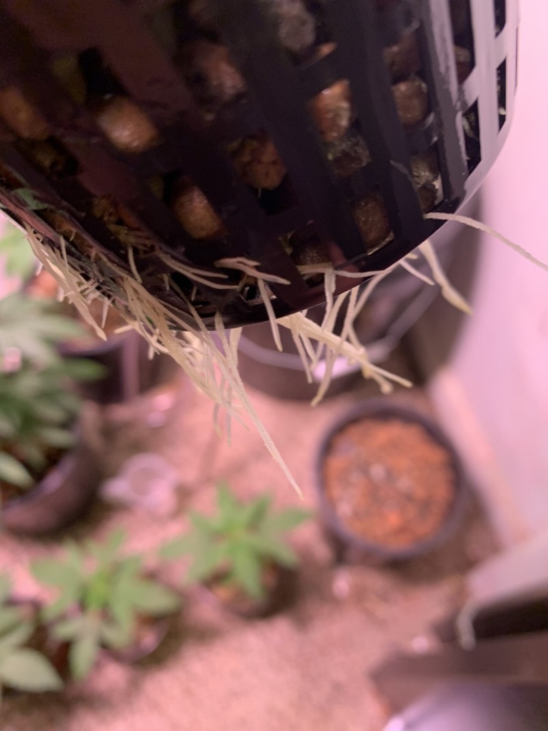 125ECF1F-CD99-4A3E-B034-D9E75EA1287F