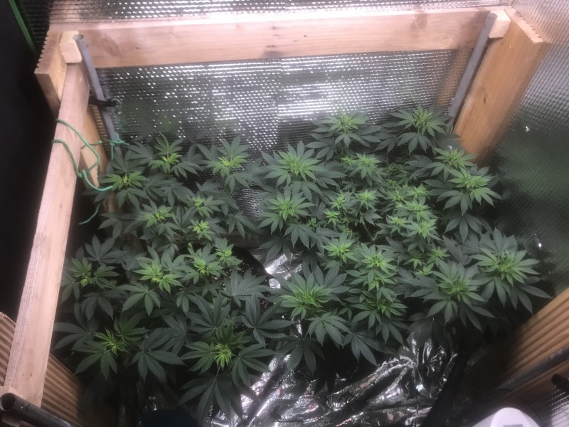 878E4F77-BDA5-4126-9529-14C329967313