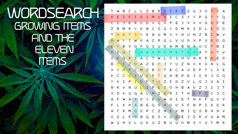 mn 420 month word search items