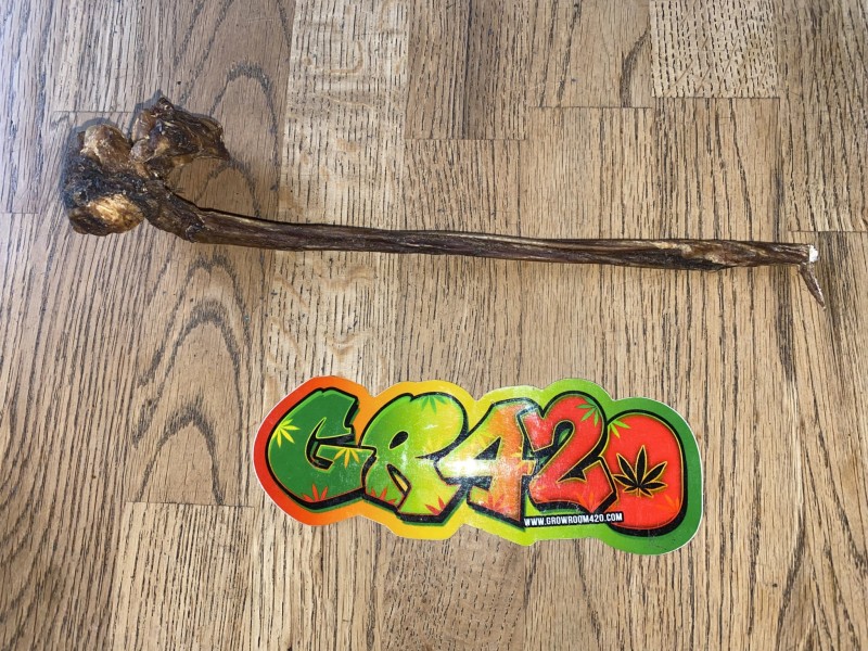 C3E9AF26-1960-43C5-B38A-EE3CD883BC3C