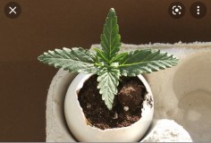 6794BA85-F918-4F97-AC92-232B5A5F5C5B