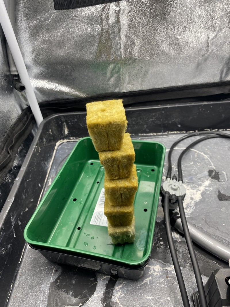 F91A6355-AB2F-4F95-AAD0-9BBB7F29C521