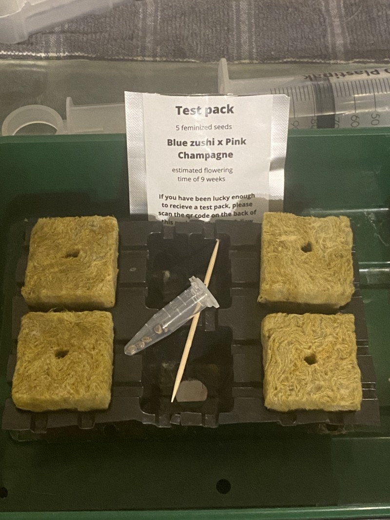 AE1DD0D6-07DF-4E6D-92CD-5DA629D3F03B