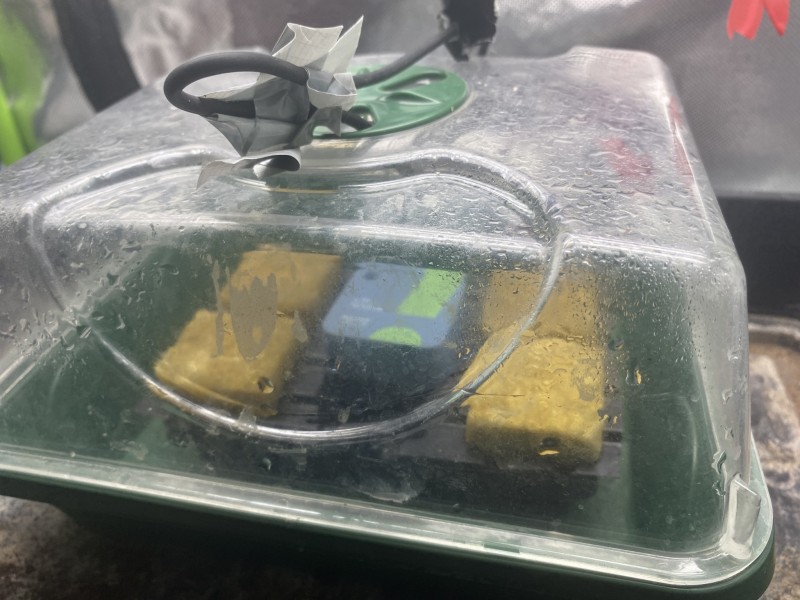 73019320-3496-4C55-8201-6530E43F4F86