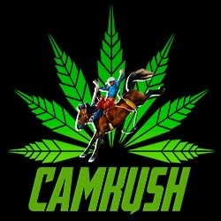 791F9373-1057-449F-BC8C-0306E9A17CE5