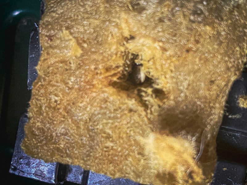 34969174-09D9-4EE2-8FA5-5DBAF1DA7763