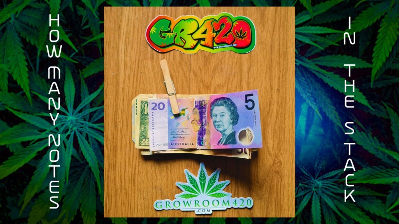 mn 420 month how many notes in the stack