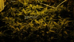 drobes day 43 and 30 13 04 22 025